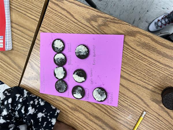 4th Grade Science: Phases of the Moon Activity